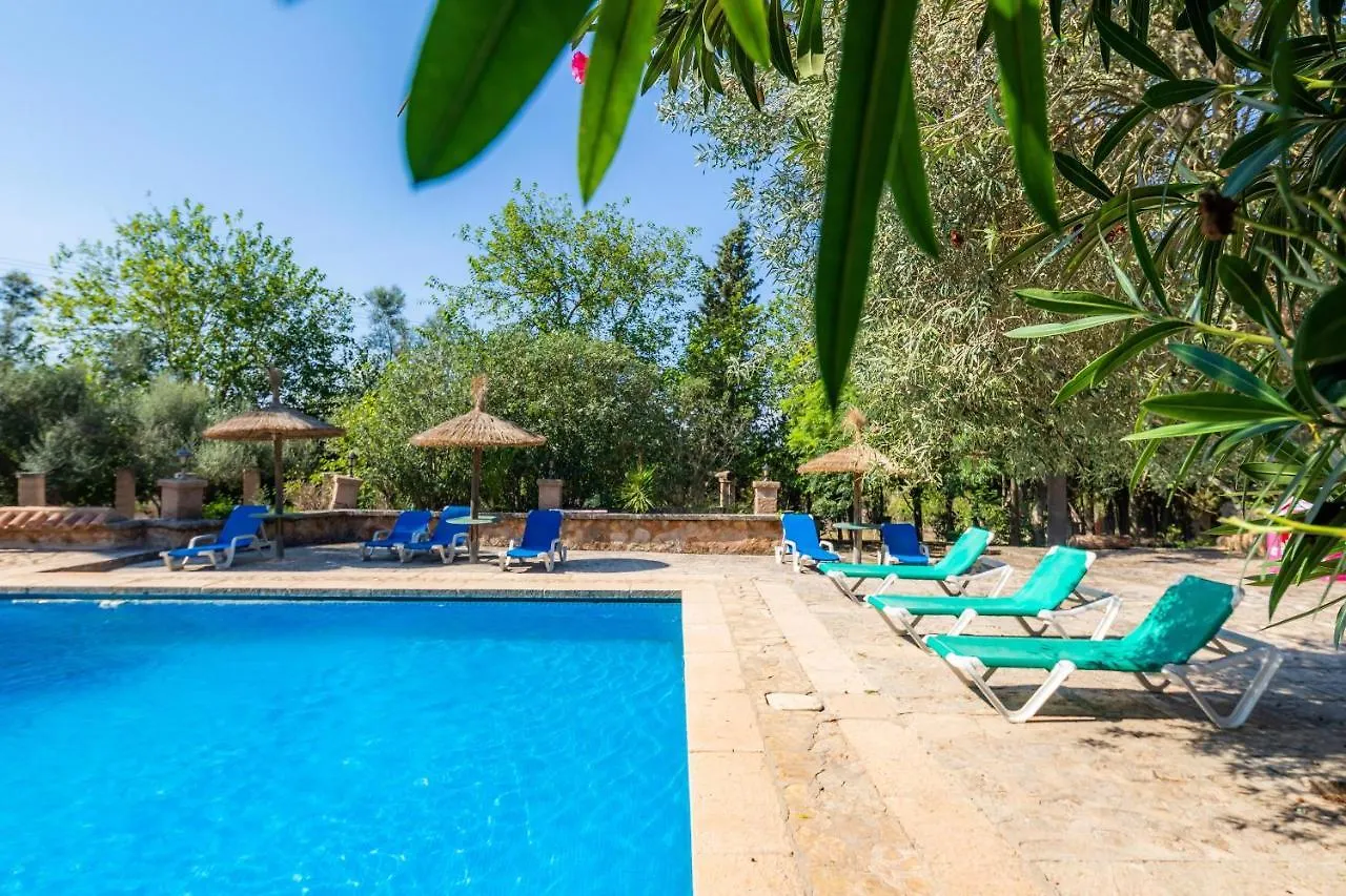 Can Caragol - Finca Es Pla Nou Manacor  Apartment